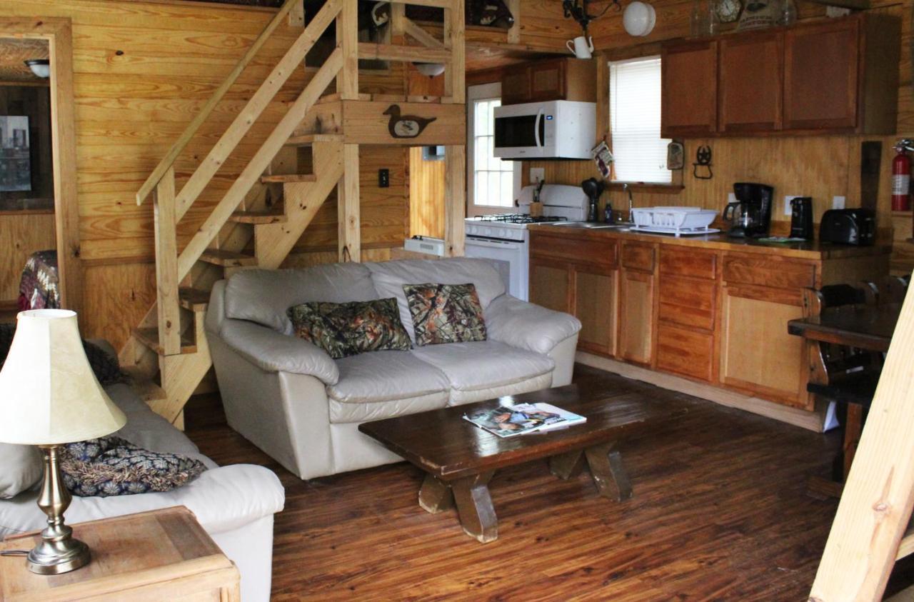 מלון Isabel Berry Creek Cabins מראה חיצוני תמונה