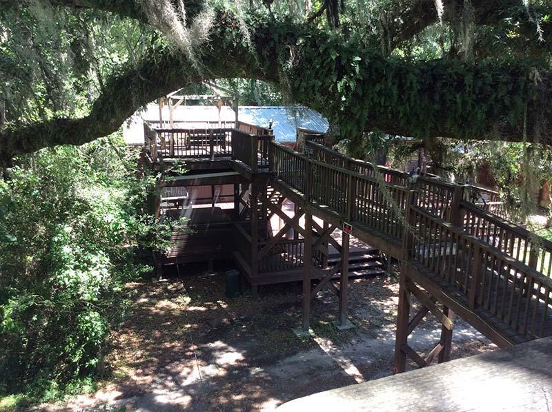 מלון Isabel Berry Creek Cabins מראה חיצוני תמונה